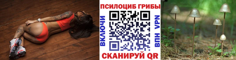 продажа наркотиков  Биробиджан  Галлюциногенные грибы MAGIC MUSHROOMS 